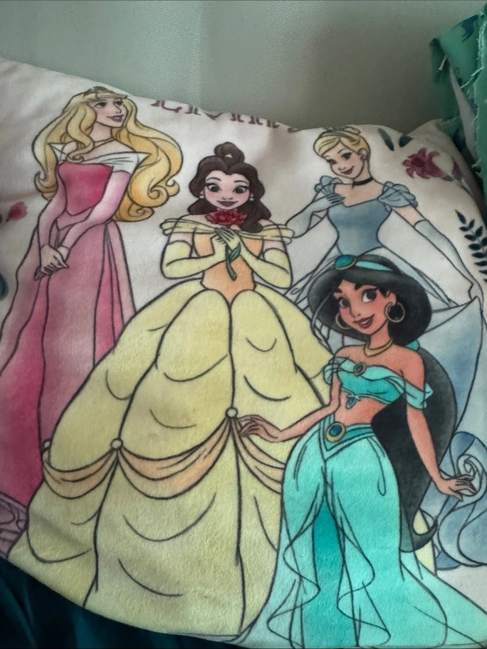 Disney Princess Character pillow in Blue & Pink
